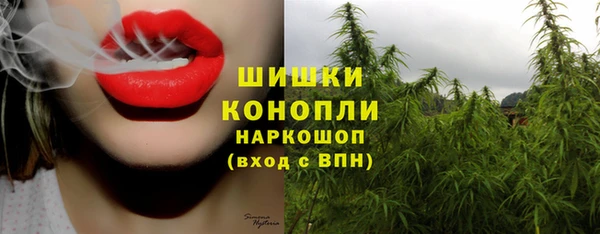 2c-b Вяземский