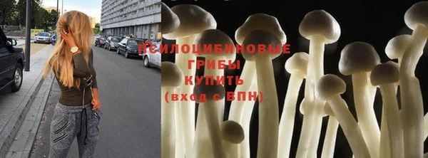 ECSTASY Киреевск