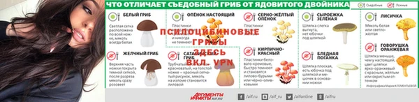 a pvp Горняк