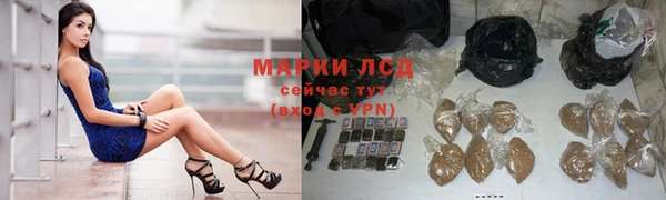 a pvp Горняк