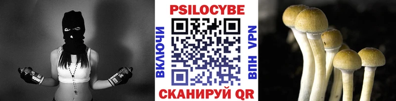 Псилоцибиновые грибы MAGIC MUSHROOMS Дегтярск